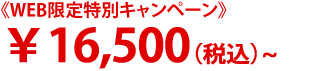 ￥16,500（税込）～