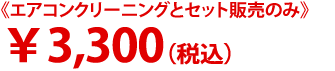 ￥3,300（税込）